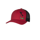 HDW78944- Idaho Baseball Cap Assortment