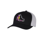 HDW78944- Idaho Baseball Cap Assortment