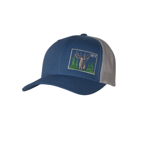 HDW78946- Wyoming Baseball Cap Assortment